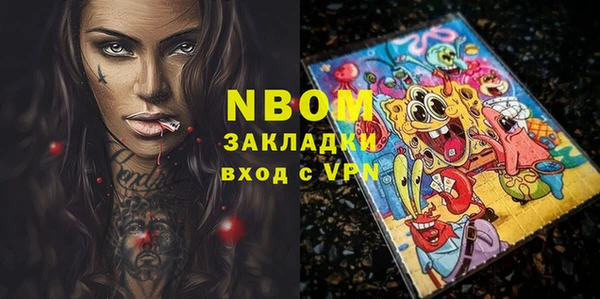 шишки Новодвинск