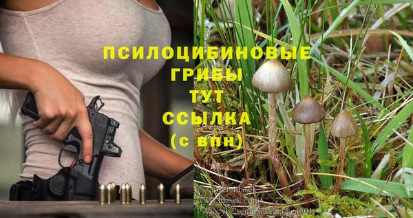 герыч Нязепетровск