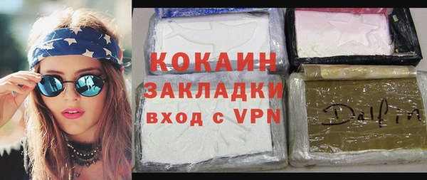 шишки Новодвинск