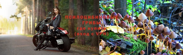 a pvp Бутурлиновка