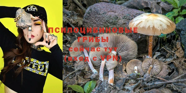экстази Няндома
