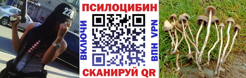 Галлюциногенные грибы Cubensis  Поворино 